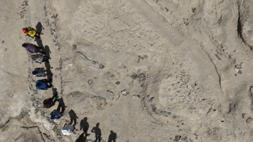Aerial Photo of Researchers in Kenya