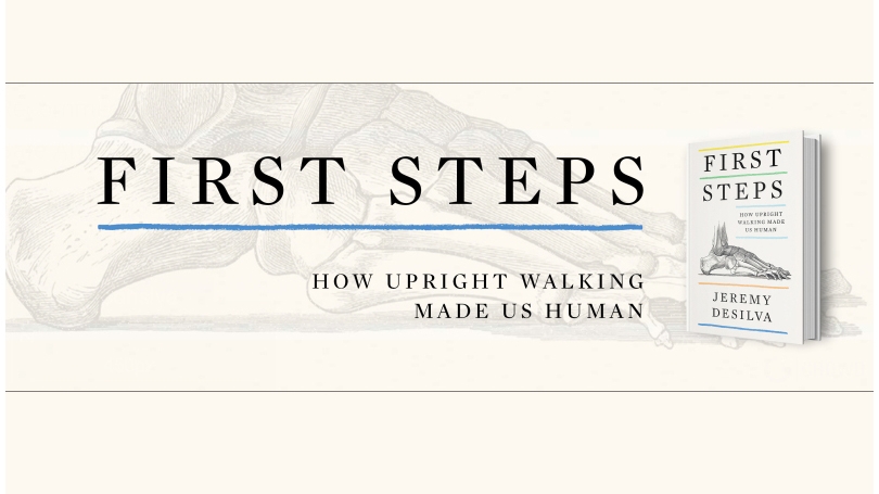 Jeremy DeSilva: First Steps Book Cover